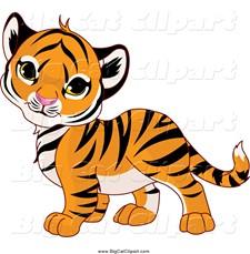 Baby wildcat Baby wildcat